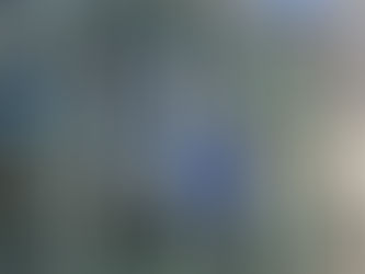 Postal do Luxemburgo: Selfies da UE