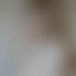 BLONDINEN AUFGEPASST - DAS KANN DAS NEUE OLAPLEX NO. 4P SHAMPOO