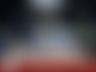 Unveil the Extraordinary Black Friday Deals by Red Rock Exhibits!