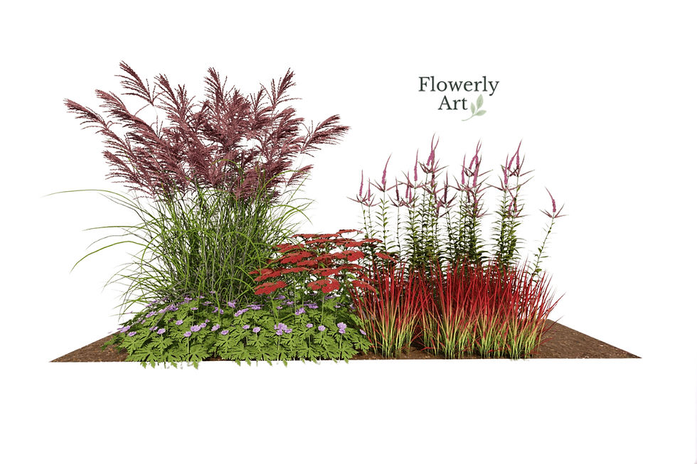 Projekt rabaty bylinowej z trawami ozdobnymi