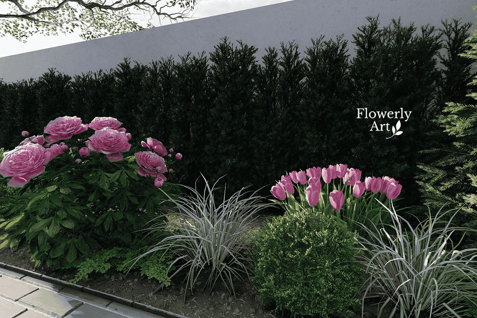 Rabata kwitnąca wiosną z piwoniami