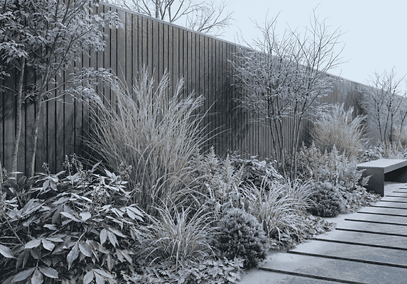 dekoracyjna zimą rabata przy płocie 