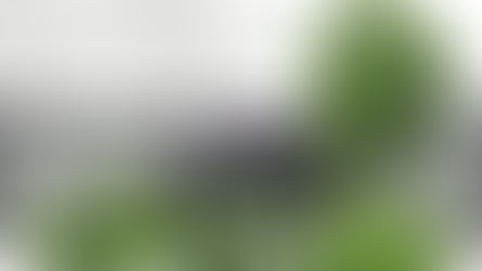 Jak zaaranżować ogród przy płocie: praktyczne porady i inspiracje