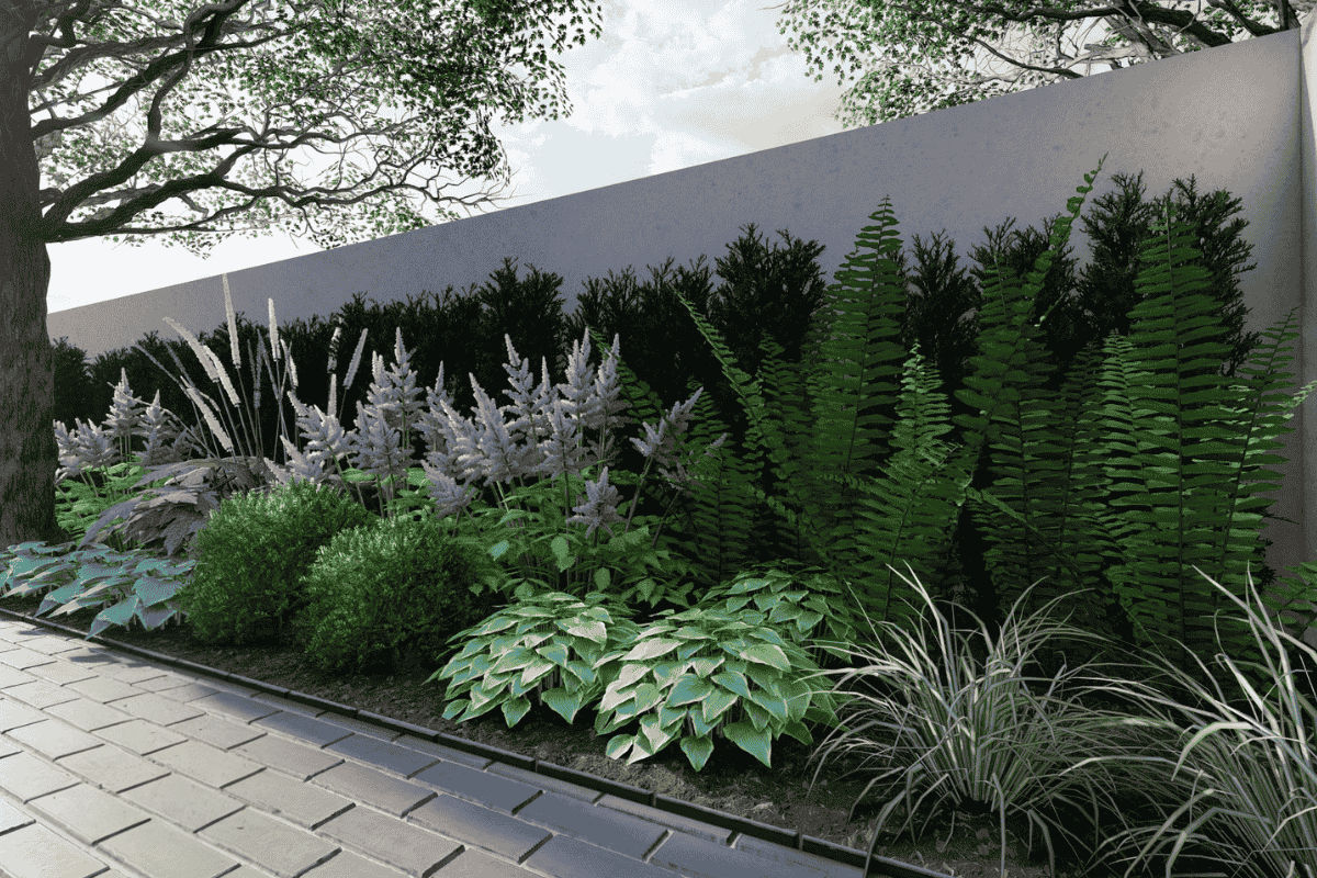 Projekt rabaty do cienistych miejsc w ogrodzie