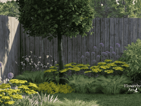 Małe kuliste drzewo w ogrodzie