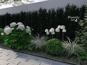 Rabata ogrodowa na tle zimozielonego cisa