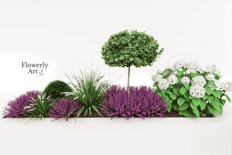 Rabata przy tarasie z hortensją kwitnąca do jesieni