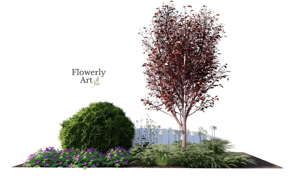 Projekt rabaty z małym drzewem, iglakami i trawami