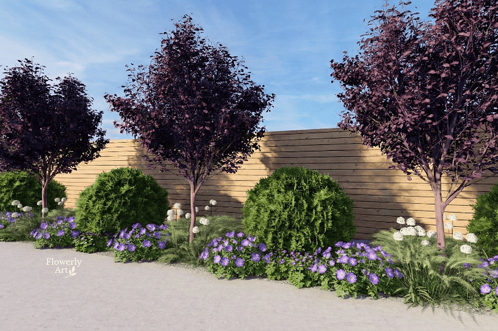 Rabata wzdłuz ogrodzenia ze śliwą Pissardi