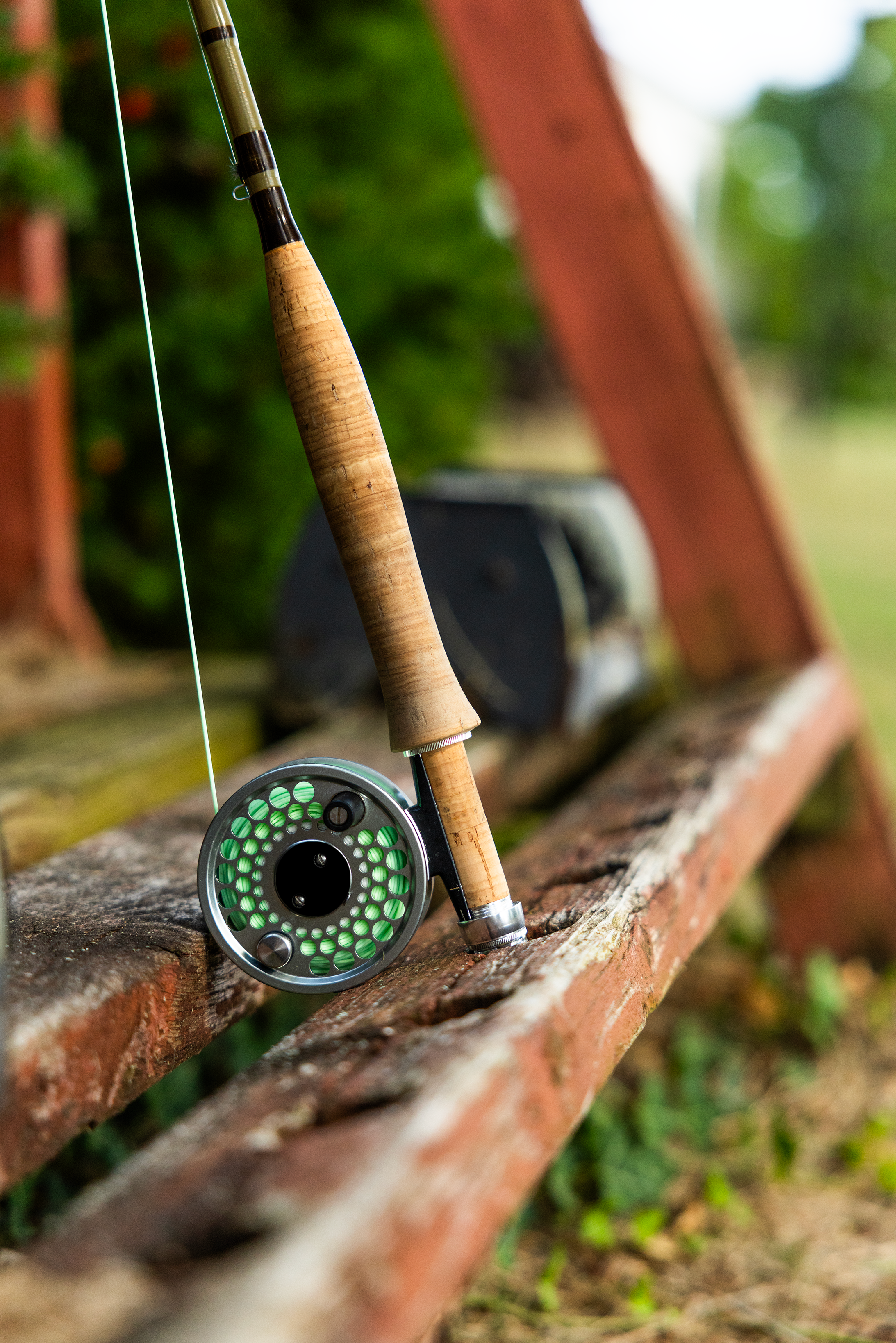 Writer: Sunnybrook Trout Club Team