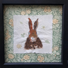 Summer Hare