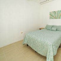 DSC01021-Edit.jpg