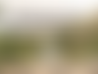 How the Six Human Design Profile Lines Need to Be Loved Differently