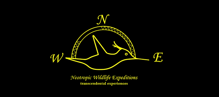 Logo Neotropic Wildlife Expeditions