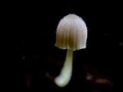 WhatsApp Image 2025-01-09 at 14.11_edited