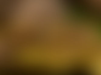 El Veneno de Bothriechis nigroadspersus (schlegelii): Un "Cóctel Bioquímico"