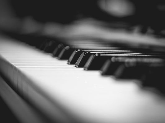black-and-white-black-and-white-close-up