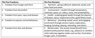 A History of Animal Welfare