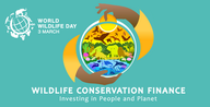 World Wildlife Day 2025 official Poster