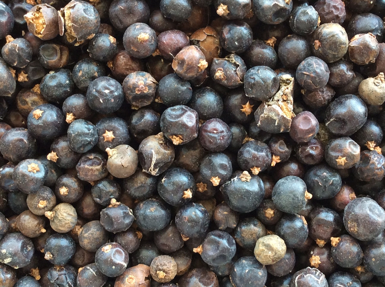 Juniper Berries