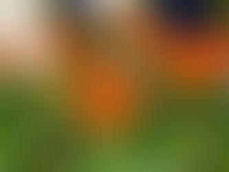 綺麗な花にサンシャインシティ世界のらん展2021の写真を追加しました。