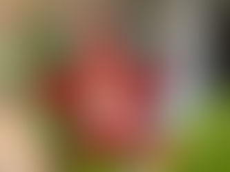 写真を追加しました。We up new photos!