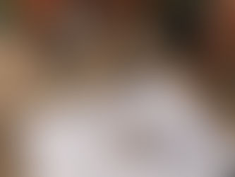 写真を追加しました。We add photos!
