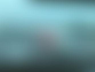 アジア太平洋らん会議のご報告 ①(The 13th Asia Pacific Orchid Conference )