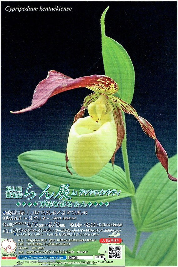 イベント出店のお知らせ 第64回 蘭友会らん展 in サンシャインシティ