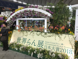 世界らん展日本大賞2018の写真を追加しました。We up new photos!