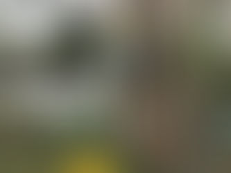 写真を追加しました。We up new photos!