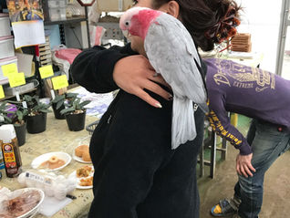 沢山の方にお越しいただきまして、ありがとうございました。