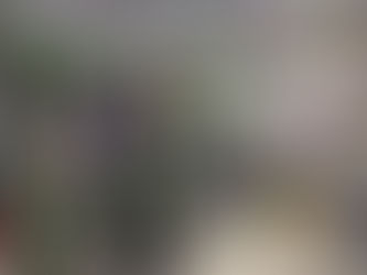 サンシャインシティー 世界のらん展2020　～蘭でおもてなし～（第５９回全日本蘭協会洋らん展）のご報告①