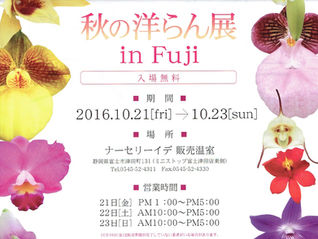 秋の洋らん展のお知らせ