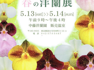春のイベントのお知らせ