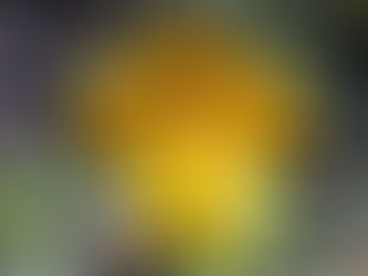 写真を追加しました。We up new photos!