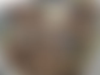 秋の球根ビン出し