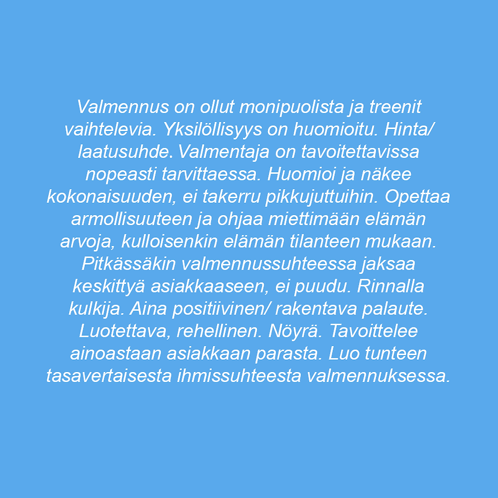 Palaute3