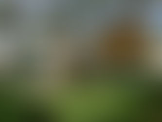 New 12,000 sqft Residence Starting Design in Miami!