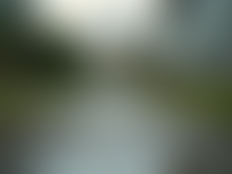 Recognizing Signs of Septic System Issues