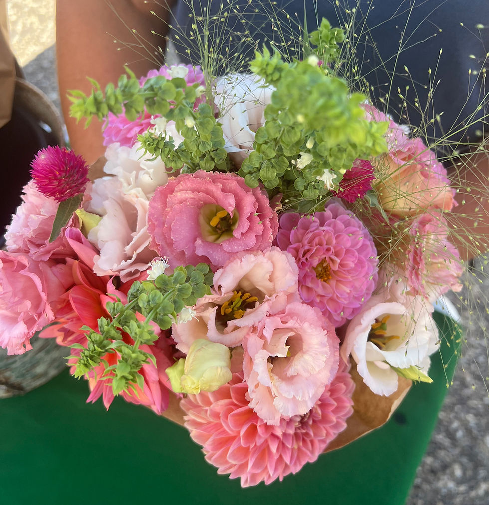 2026 CSA 8-week Subscription