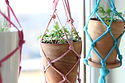DIY Macrame Flowerpot Hangers