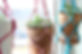 DIY Macrame Flowerpot Hangers