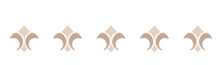 trip e separador.png