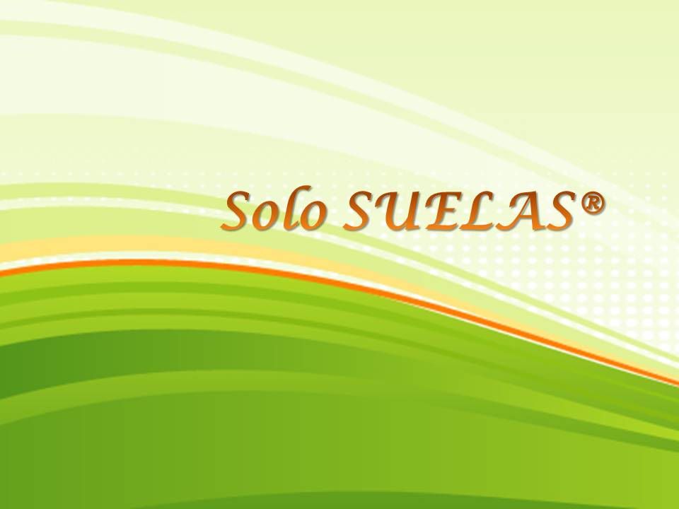 logo2.jpg