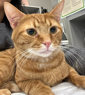 Jett Atwell_blood donor.jpeg