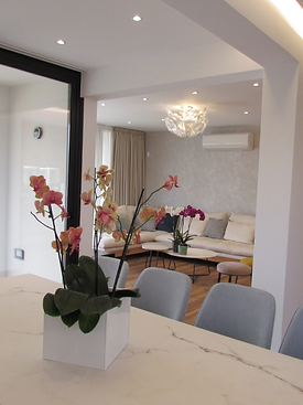 p3 living 6_edited.jpg