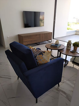 p3 living 6_edited.jpg