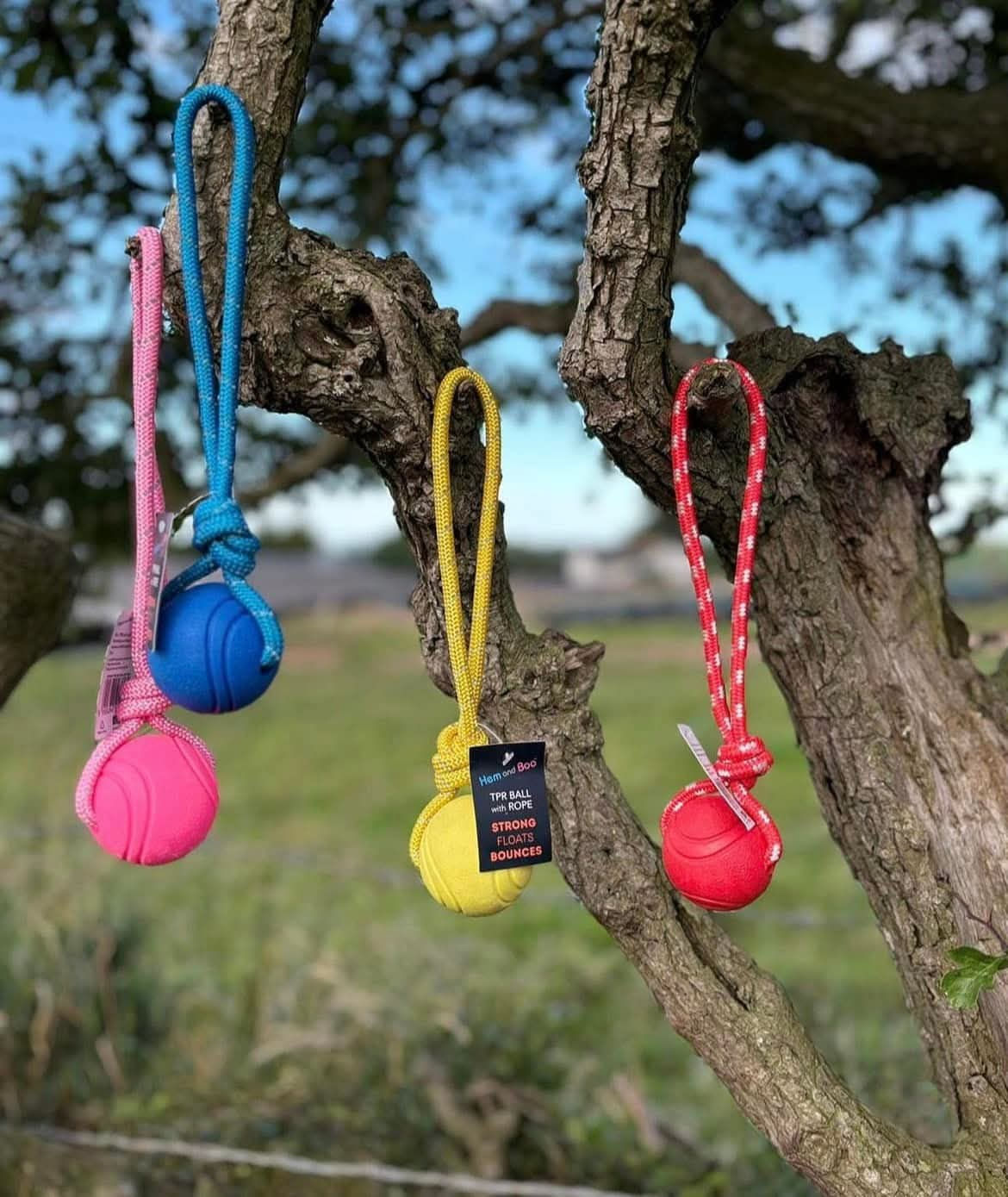 Floating Ball with Rope Dog Toy