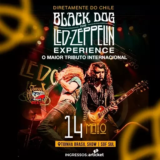 Black Dog - The Led Zeppelin Experience | Toinha Brasil Show